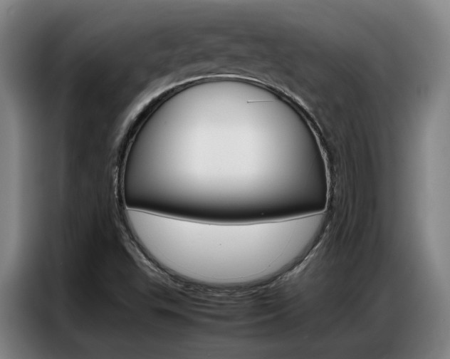 X0000087361503200704200815