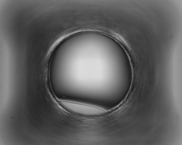 X0000087361504200704200815