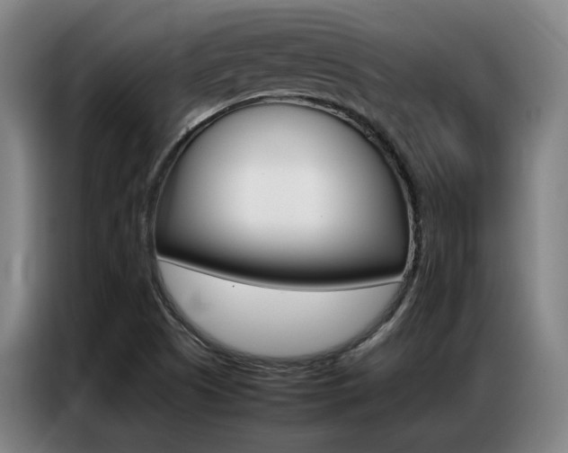 X0000087361505200704200815