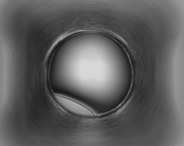 X0000087361506200704200815