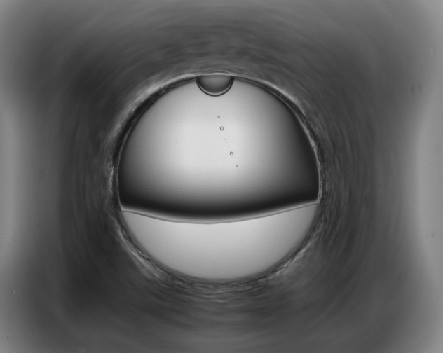 X0000087361507200704200815