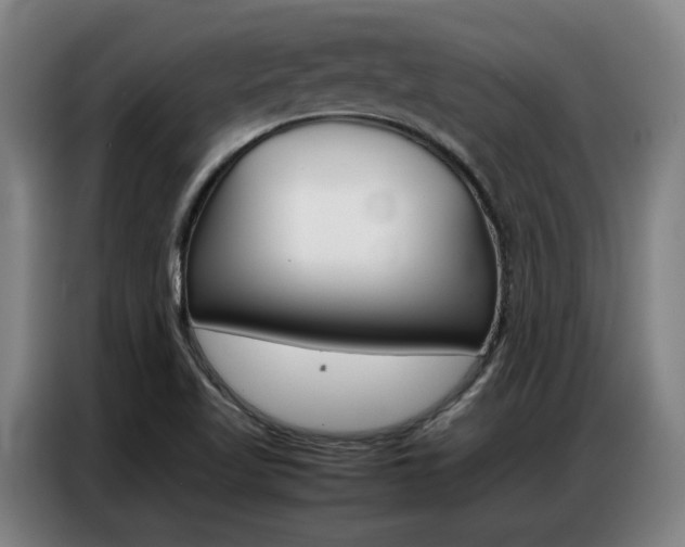 X0000087361509200704200815