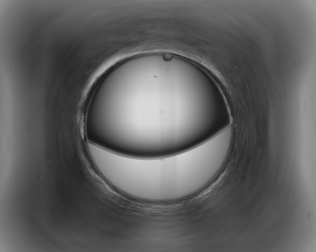 X0000087361510200704200815