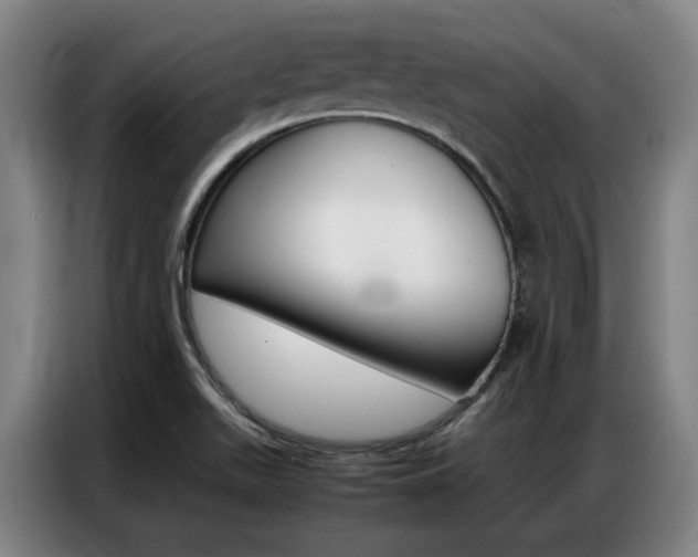 X0000087361511200704200815
