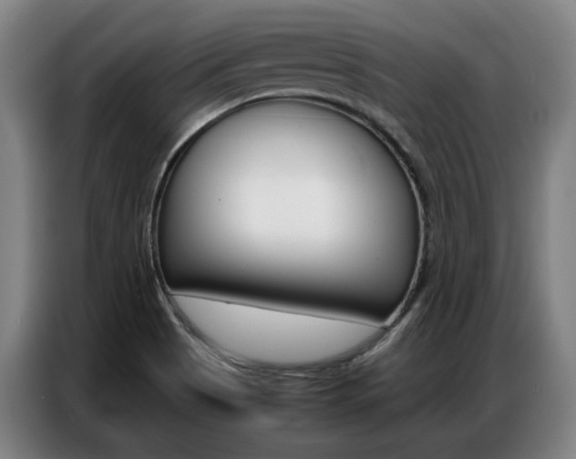 X0000087361513200704200815