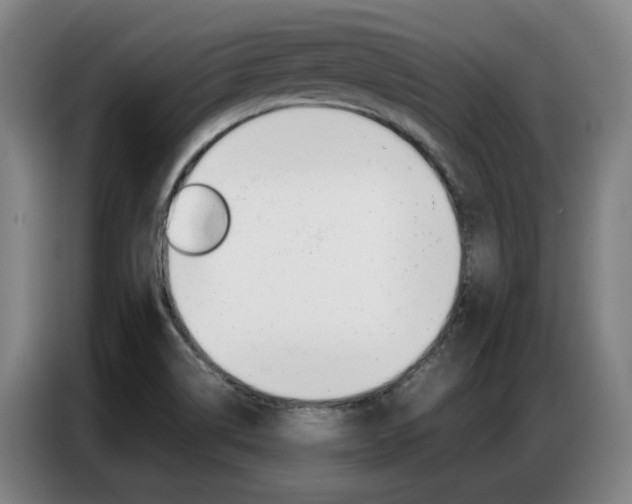 X0000087361514200704200815