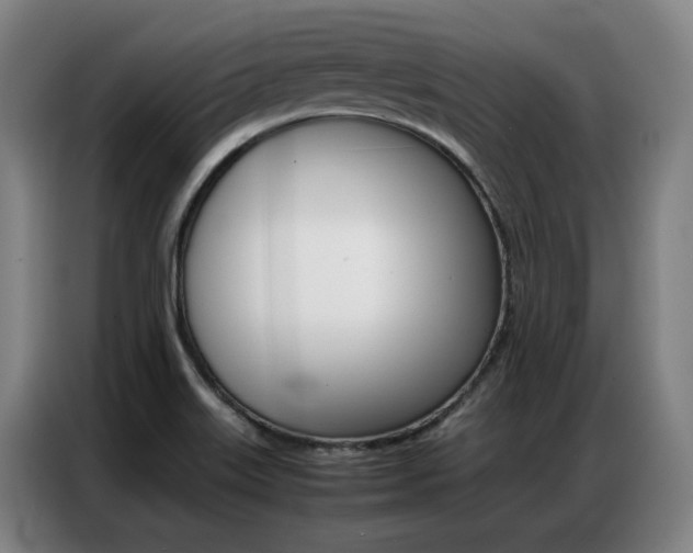 X0000087361515200704200815