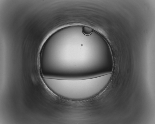 X0000087361516200704200815