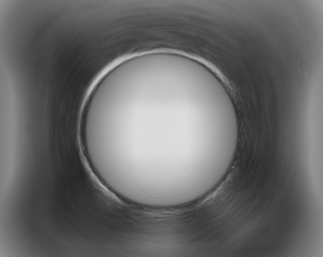 X0000087361518200704200815