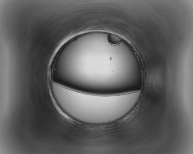 X0000087361519200704200815