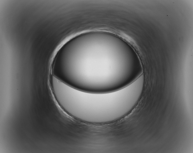 X0000087361520200704200815