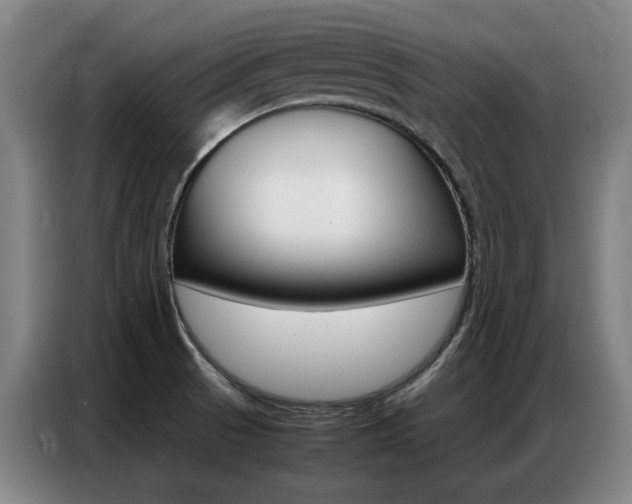 X0000087361521200704200815