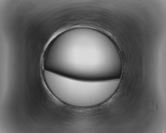 X0000087361522200704200815