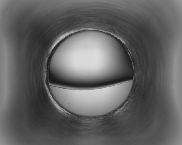 X0000087361523200704200815