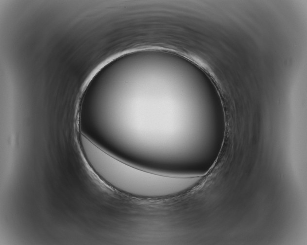 X0000087361524200704200815
