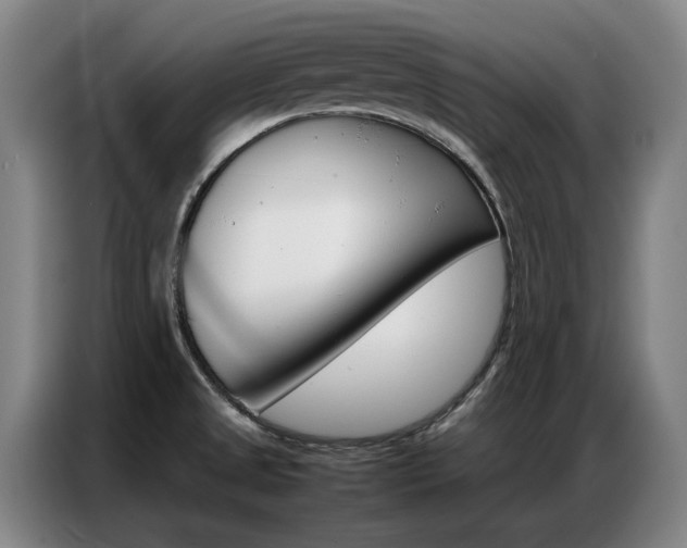 X0000087361525200704200815