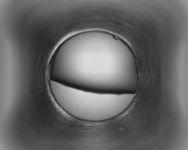 X0000087361526200704200815