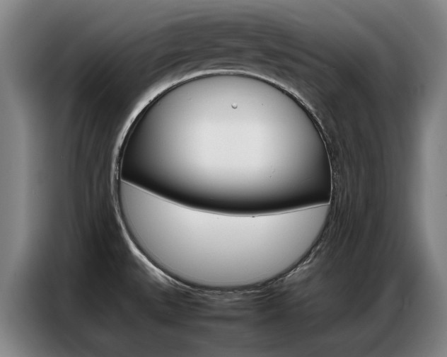 X0000087361527200704200815