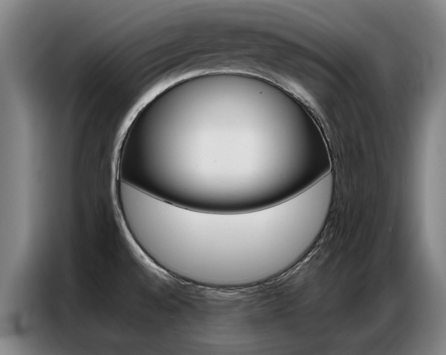 X0000087361528200704200815