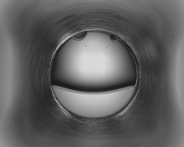 X0000087361529200704200815