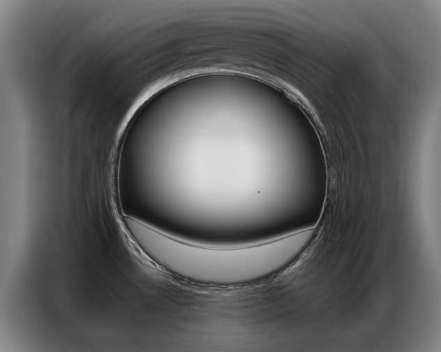 X0000087361530200704200815