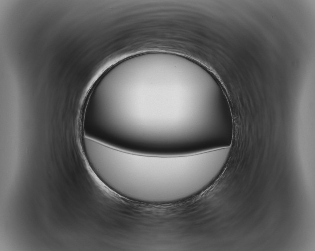 X0000087361531200704200815