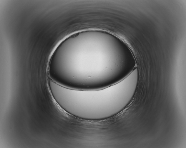 X0000087361532200704200815