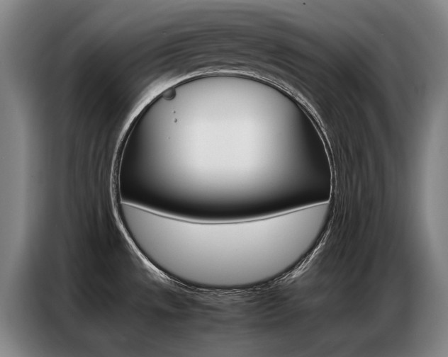X0000087361533200704200815