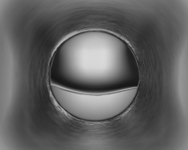 X0000087361534200704200815