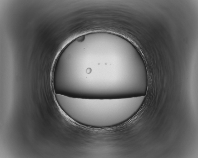 X0000087361535200704200815