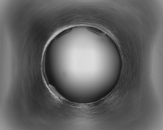 X0000087361536200704200815