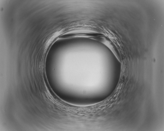 X0000087360003200704201159