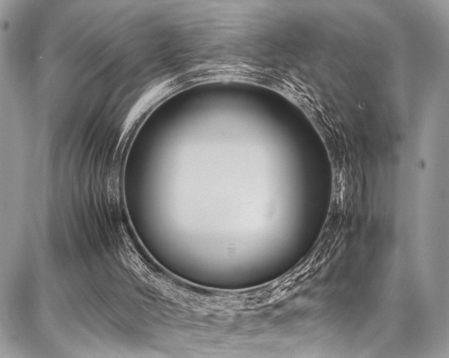 X0000087360004200704201159