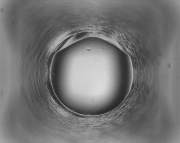 X0000087360005200704201159