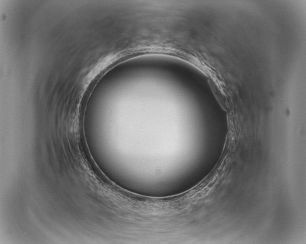 X0000087360008200704201159