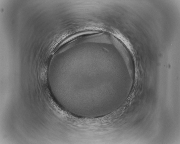 X0000087360009200704201159