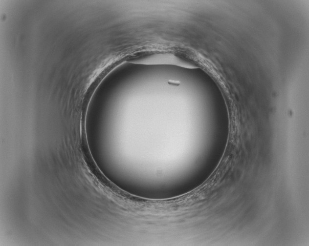 X0000087360011200704201159