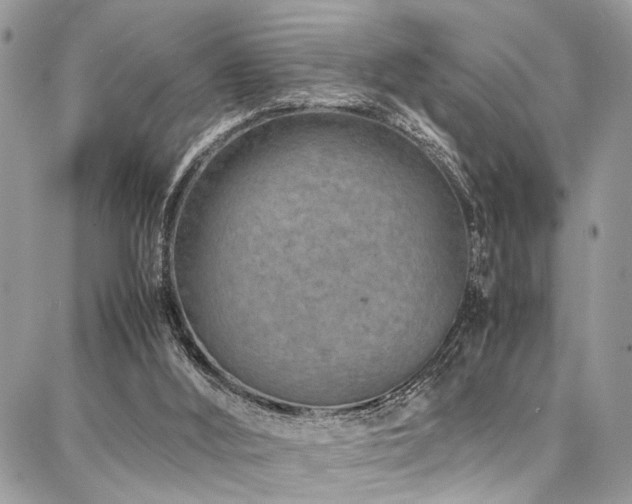 X0000087360012200704201159