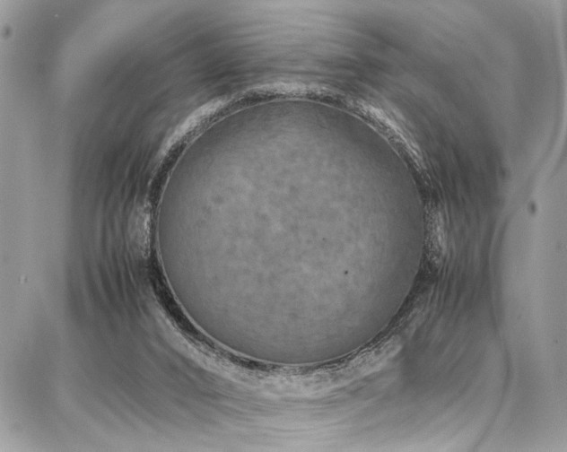 X0000087360016200704201158