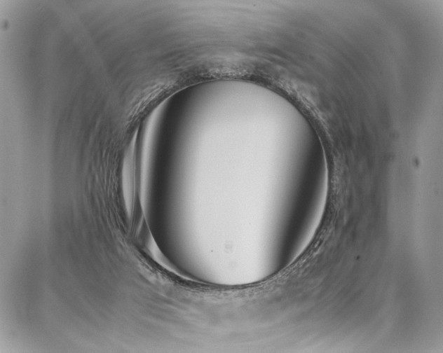 X0000087360017200704201158