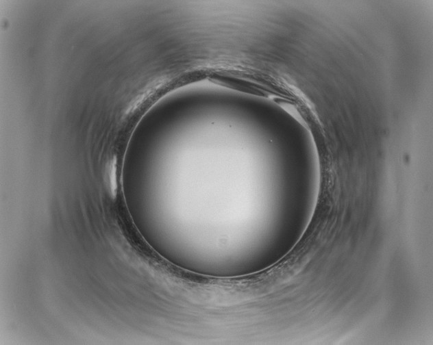 X0000087360020200704201158