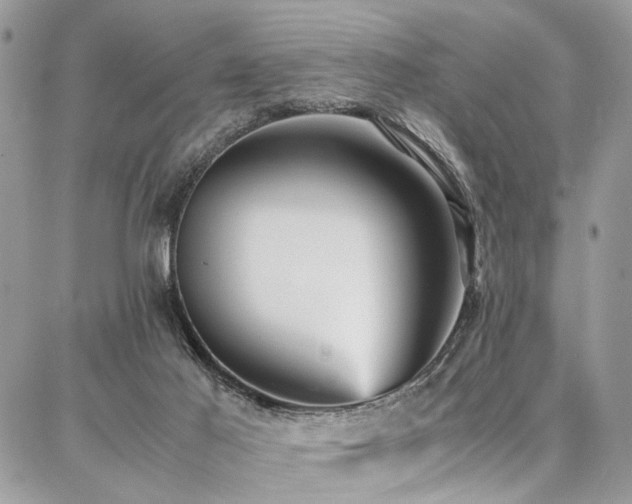 X0000087360021200704201158