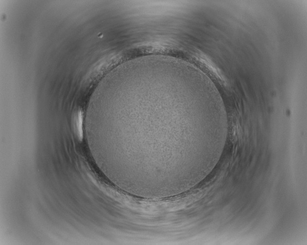X0000087360022200704201158