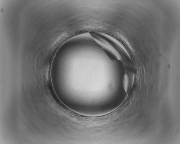 X0000087360023200704201158