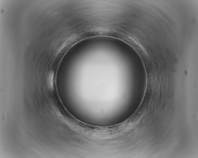 X0000087360024200704201158