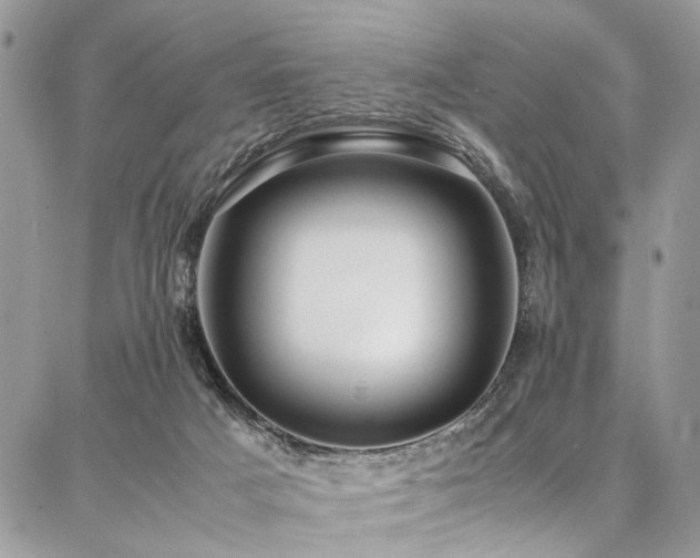 X0000087360025200704201158