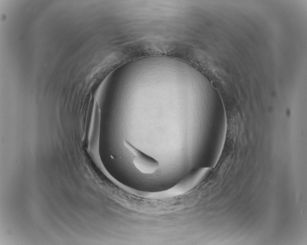 X0000087360027200704201158