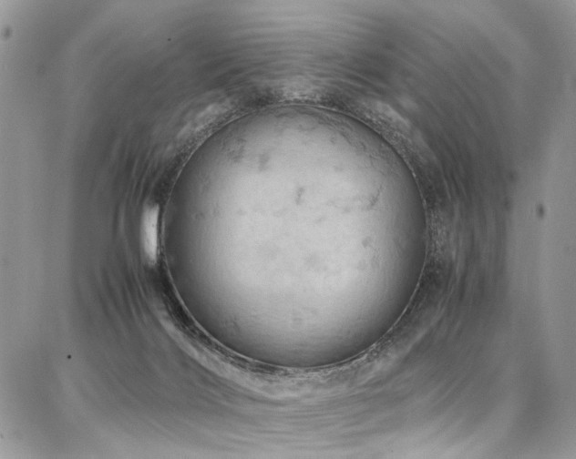 X0000087360028200704201158