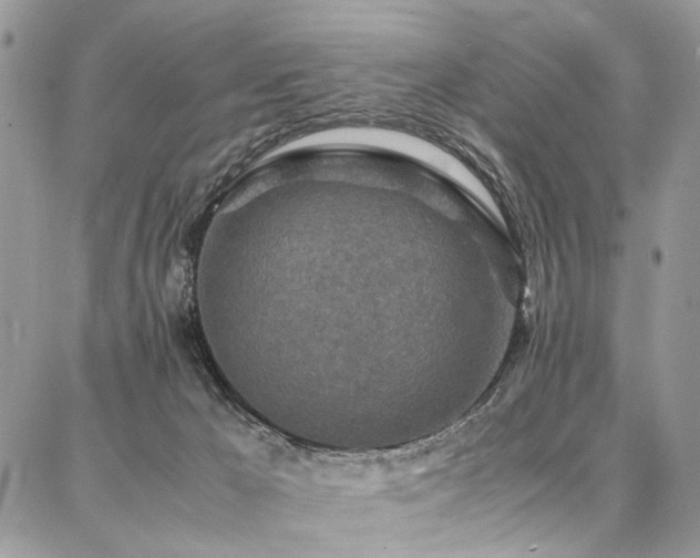 X0000087360029200704201158