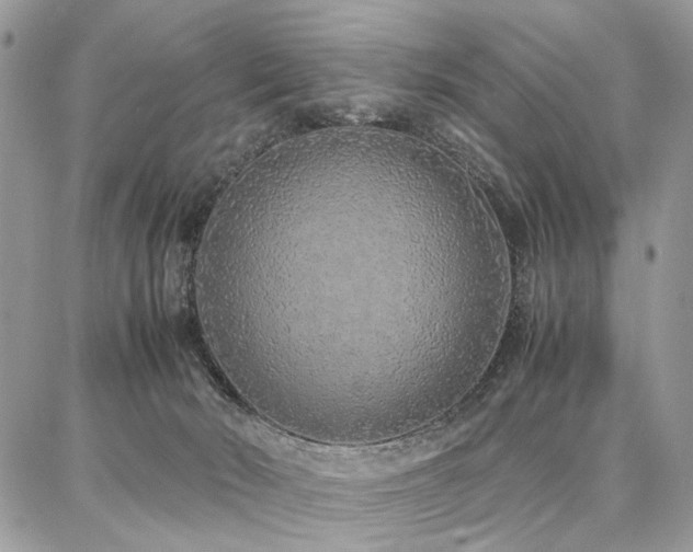 X0000087360030200704201158
